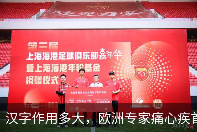 汉字作用多大，欧洲专家痛心疾首：若有汉字，欧洲或早已统一